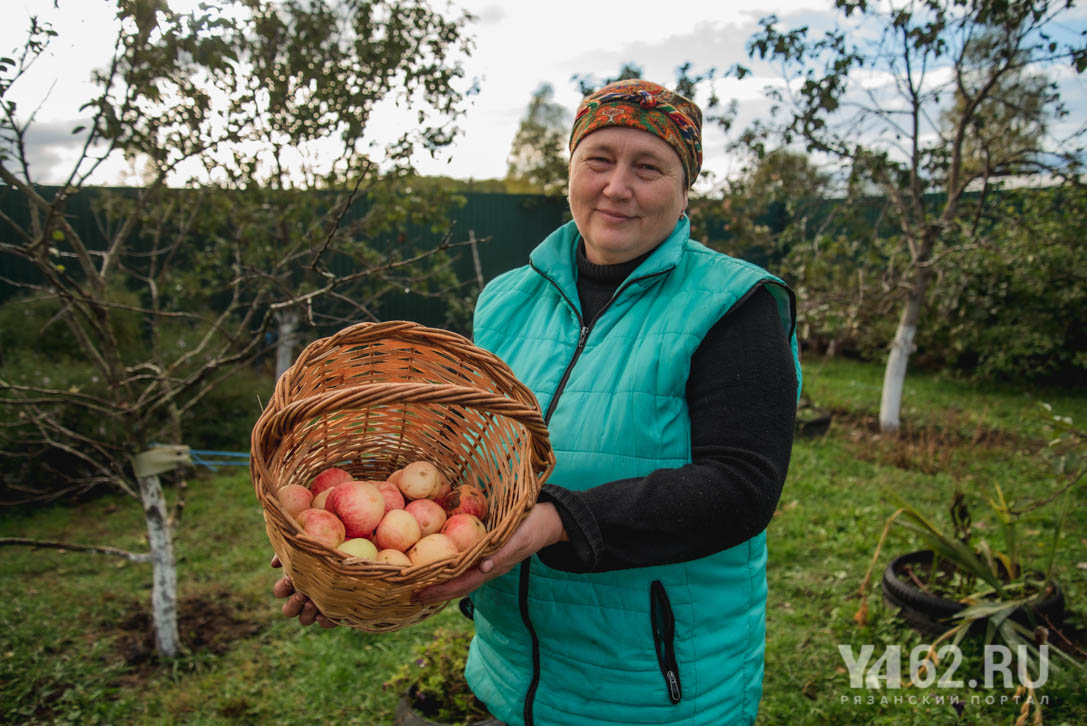 Фото 6 Жительница Бельского тетя Нина Жирнова с яблоками.JPG
