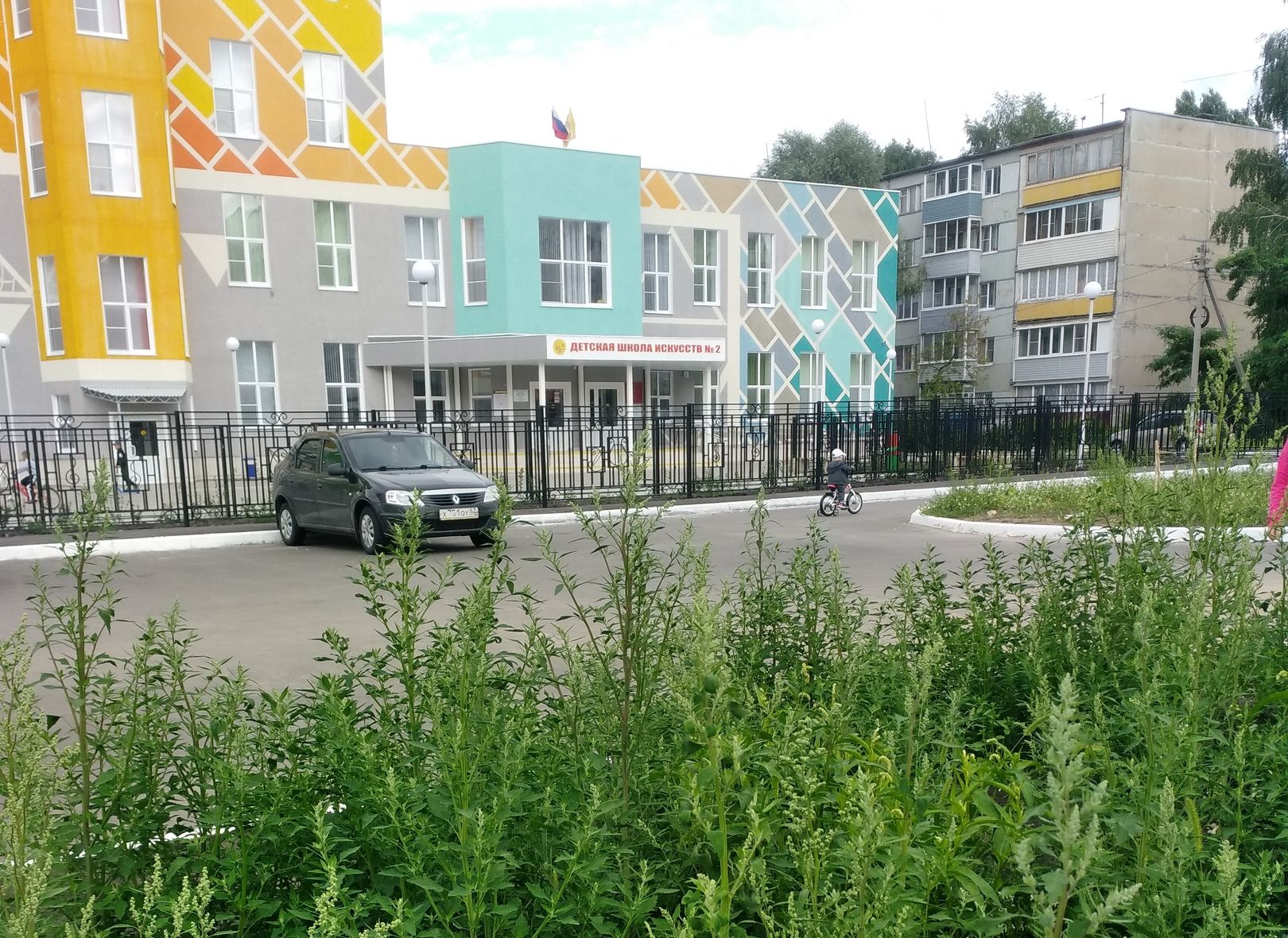 Фото: территория у новой школы искусств в Недостоеве заросла сорняками