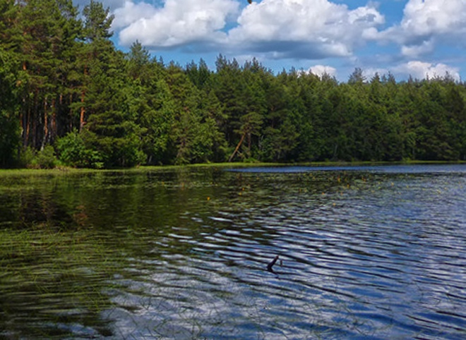 Сезон купания на Ласковском озере будет открыт 15 июня