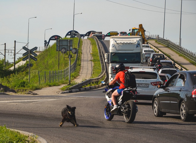 Мост дорогой. Платный путепровод в Рязани создает пробки за деньги