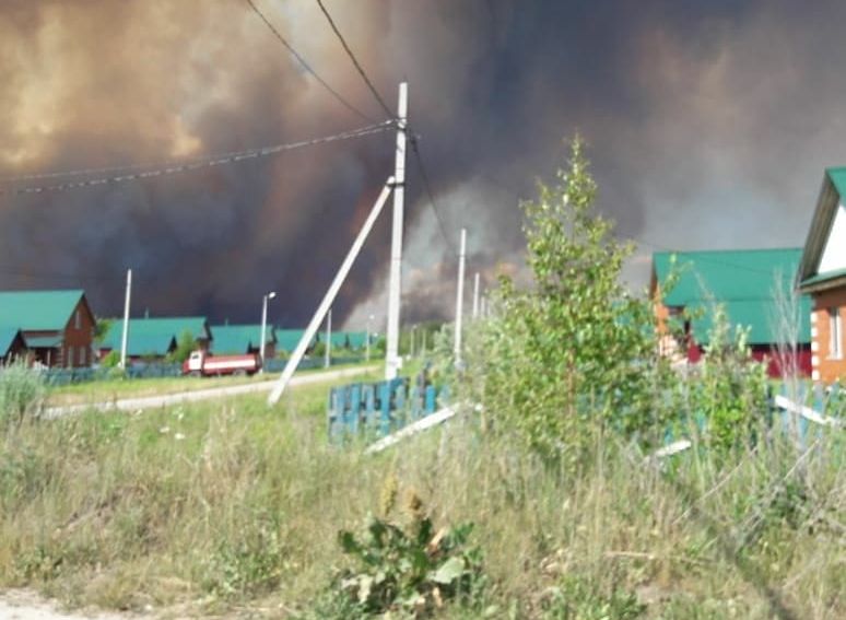 Рязанское минприроды отчиталось о ситуации с лесными пожарами в регионе