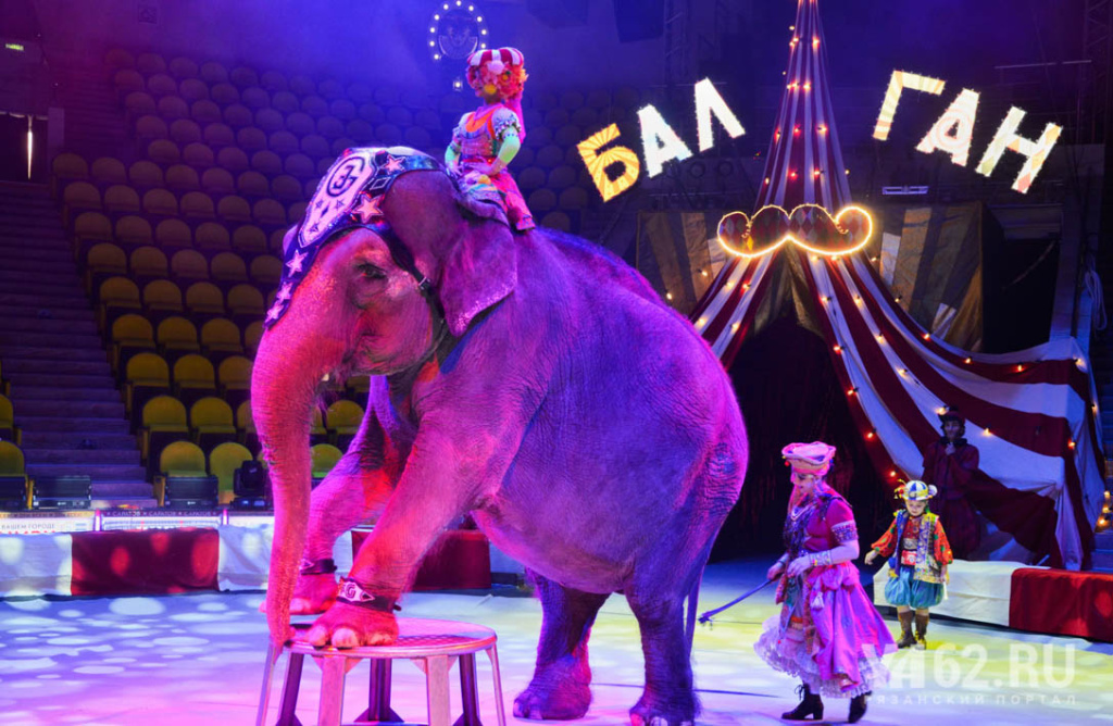 Фото 2 Балаган Рязанский цирк слон Мара.JPG