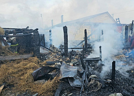 В Шацком районе сгорел гараж с автомобилем